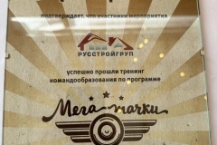 проведение тимбилдинга мега тачки